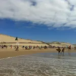 Le Bois Flotee Cottage Avec Jardin, Lac 6 Min, Ocean Plage 15 Min