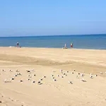Plazza Front De Mer