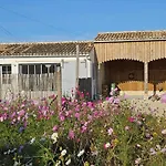 Maison Neuve A 500M De La Plage, La Menouniere