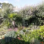 Villa Les Palmiers