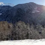 Appartement 10 Personnes Champagny-En-Vanoise, Parking, Animaux Admis, Balcon, Wifi - Fr-1-638-7