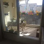 Mauguio-Carnon T2 60 M2, Tout Confort, Coquet, Balcon, Parking Couvert, 15 Min De La Mer Et De Montpellier