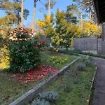 Villa Avec Piscine Au Pyla