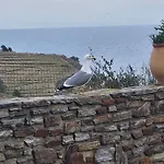 Appartement Banyuls Sur Mer Face A La Mer