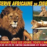 Le Mieukerien, Reserve Africaine 15 Mn Et Plage 200 M- Parking Dedie- Terrasse