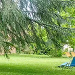 Le Cedre Du Parc De La Dame