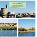 Studio Cabine Hermes 3Min Plages *Parking *Wifi - Rossiconciergerie - Linge En Option
