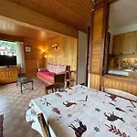 Appartement 1 Ch - Ski Au Pied, Parking, Wifi, Animaux Admis - Fr-1-437-107
