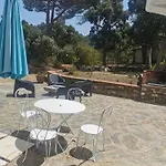 Dependance Dans Mas Traditionnel Avec Piscine