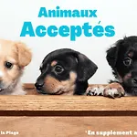 Maison 3 Chambres Avec Jardin Et Wi-Fi A 10 Min De La Plage, Quartier Calme, Animaux Acceptes - Fr-1-323-370