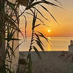 Appartement Climatise 2 Pieces Avec Piscine Et Tennis A 500M De La Plage, Argeles-Sur-Mer - Fr-1-776-42