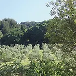 Au Jardin De La Ferme - Roses Rouges