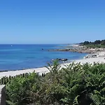 Maison Lumineuse Avec Jardin Entre Plages De Cap-Coz Et Beg-Meil, Proche Activites Nautiques - Fr-1-481-173