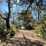 Maison Barbatre 6 Pers, Jardin, Proche Plage - Fr-1-823-129