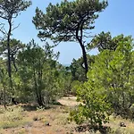 Charmante Maison 5 Pers, Proche Plage, Animaux Admis, Parking - Fr-1-823-56