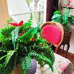 Studio Fleuri En Bord De Mer