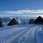 Apt Dans Chalet St Lary 100Mdespistes Classe 4 Etoiles