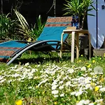 Shifting Sands Surf Camp