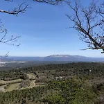 Spacious, Quiet With Stunning Pine Forest Views