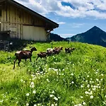 Chalet Marmotte 3