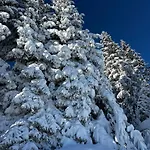 N5 Megeve - Residence De L'Ours - Appart 4 Pers