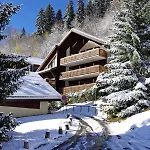 Residence Bruyeres - Les Hauts De Planchamp - Studio Pour 3 Personnes Mae-3349