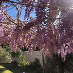 Villa Provencale Au Bord De Mer