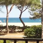 T2 - Les Pieds Dans L'Eau