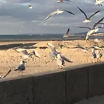 Le Voyageur Coucher De Soleil Vue Mer