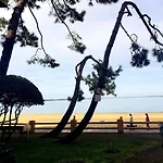 Residence Eugenie - T2 Vue Bassin, Acces Direct Plage, Arcachon Mae-8914