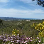 A L'Ombre Des Pins Du Castellet