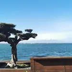 Appartement Cosy Sur La Presqu'Ile De Cap Coudalere Avec Piscine Ouverte Et Chauffee