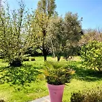 Maison Familiale Avec Jardin, Parking Prive Et Wifi Aux Sables-D'Olonne - Fr-1-331-35