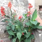 La Terrasse Du Mole