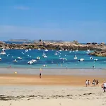 Macareux