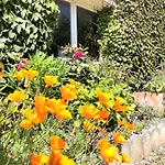 La Corniche-Maison Vue Mer Avec Grand Jardin