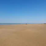 Appartement Les Galees Avec Terrasse A 100M Plage Des Mouettes