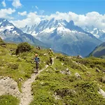 Chalet Scandinave - Chalet Ski-In Out Piste Flegere - Next To Golf - By Cozee Rentals