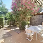 Bois De Jade N100