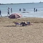 Spacieux T1 Alcove, 4/6 Pers - Centre Gruissan, 400M Plage, Ascenseur, Parking Proche - Fr-1-796-57