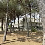 Appartement 2 Pieces - Front De Mer A Argeles-Sur-Mer - Fr-1-225-667