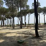Appartement 2 Pieces - Front De Mer A Argeles-Sur-Mer - Fr-1-225-667