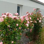 Perle Rare A Energie Positive