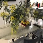 Studio Renove A Deux Pas De La Plage Des Lutins - Terrasse Privee, Parking Et Animaux Acceptes - Fr-1-426-515
