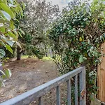 Maison Pres Plage, Terrasse, Barbecue, Biscarrosse - Fr-1-521-234
