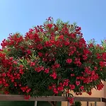 Charmante Maison Avec Sa Terrasse Au Soleil