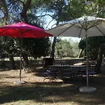 Joli Mas Au Bord De L'Etang De Thau