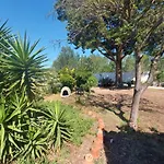 La Guinguette