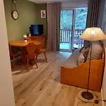 Appartement Avec Vue Sur La Montagne A Saint Lary Soulan 28 M² Piscine