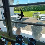 Auberge Bonbeaujoli